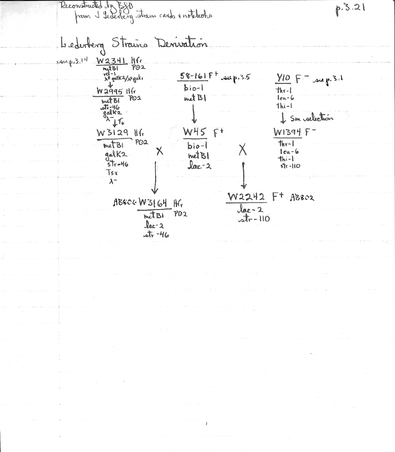 X3 BJBachmann Reconstruction p3.21